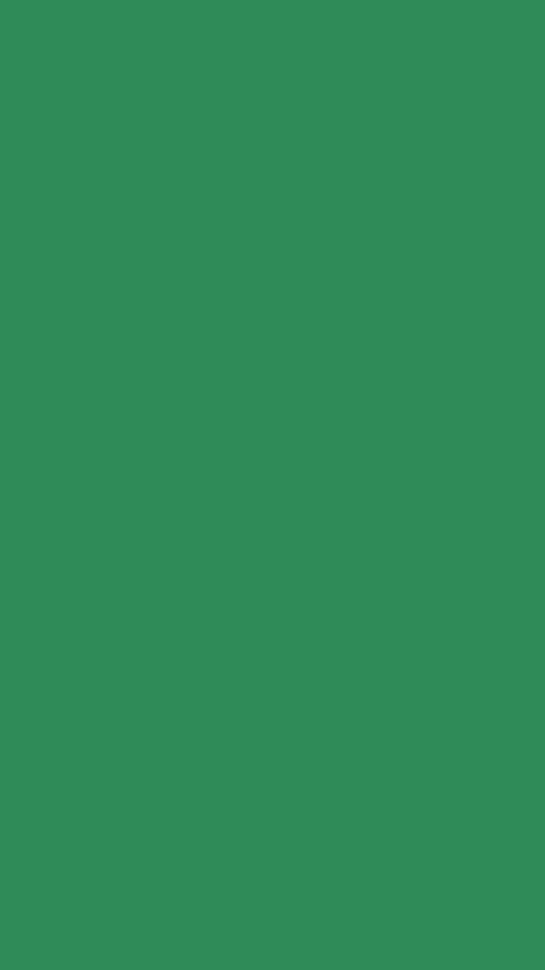 1080x1920 Sea Green Solid Color Background