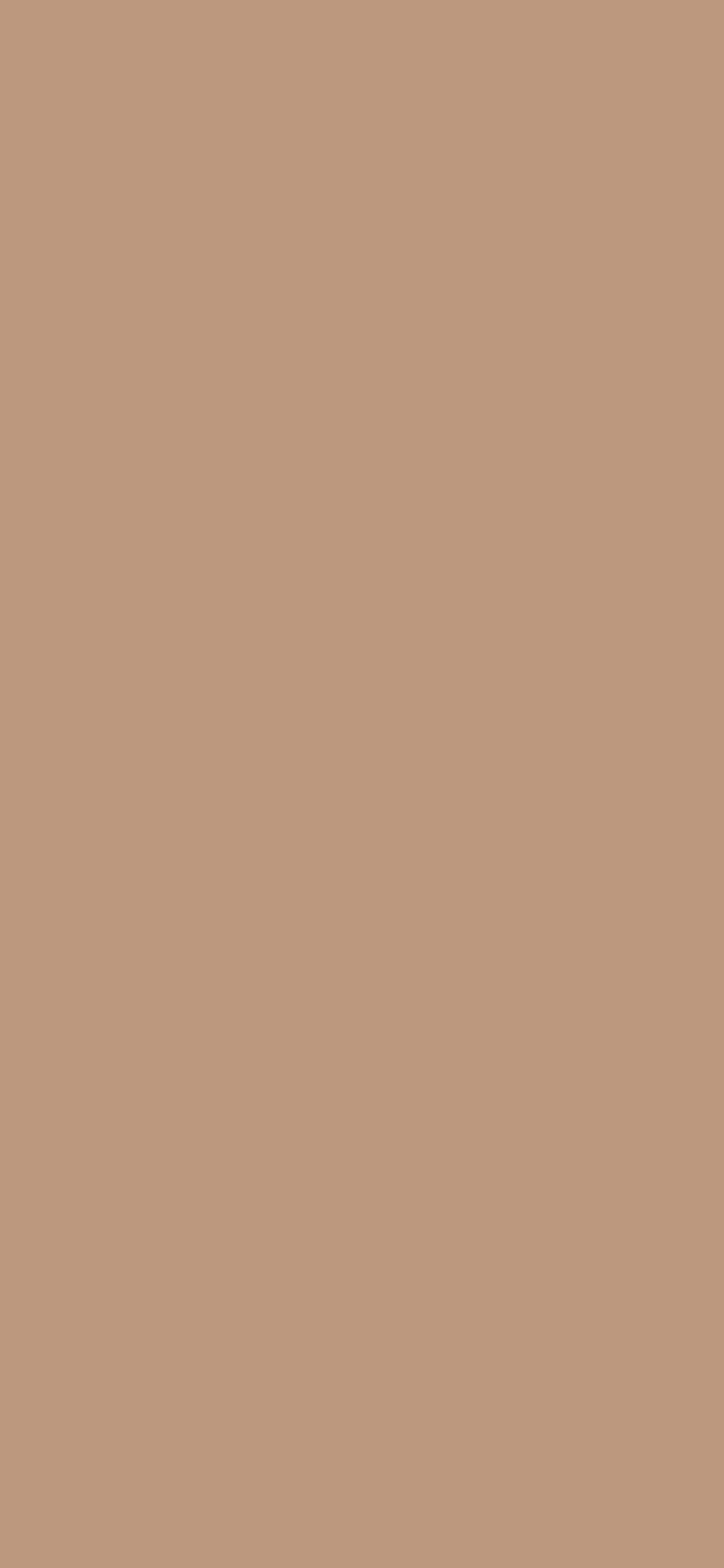 1125x2436 Pale Taupe Solid Color Background