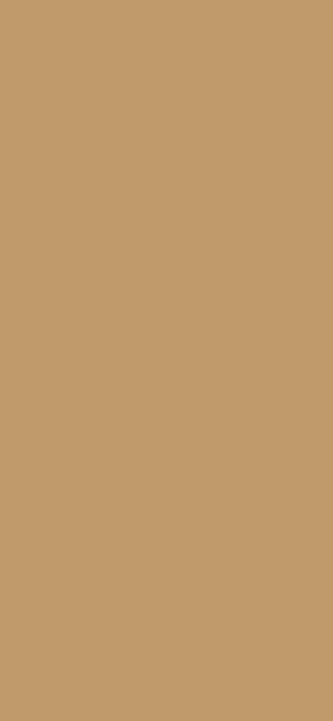 1125x2436 Wood Brown Solid Color Background
