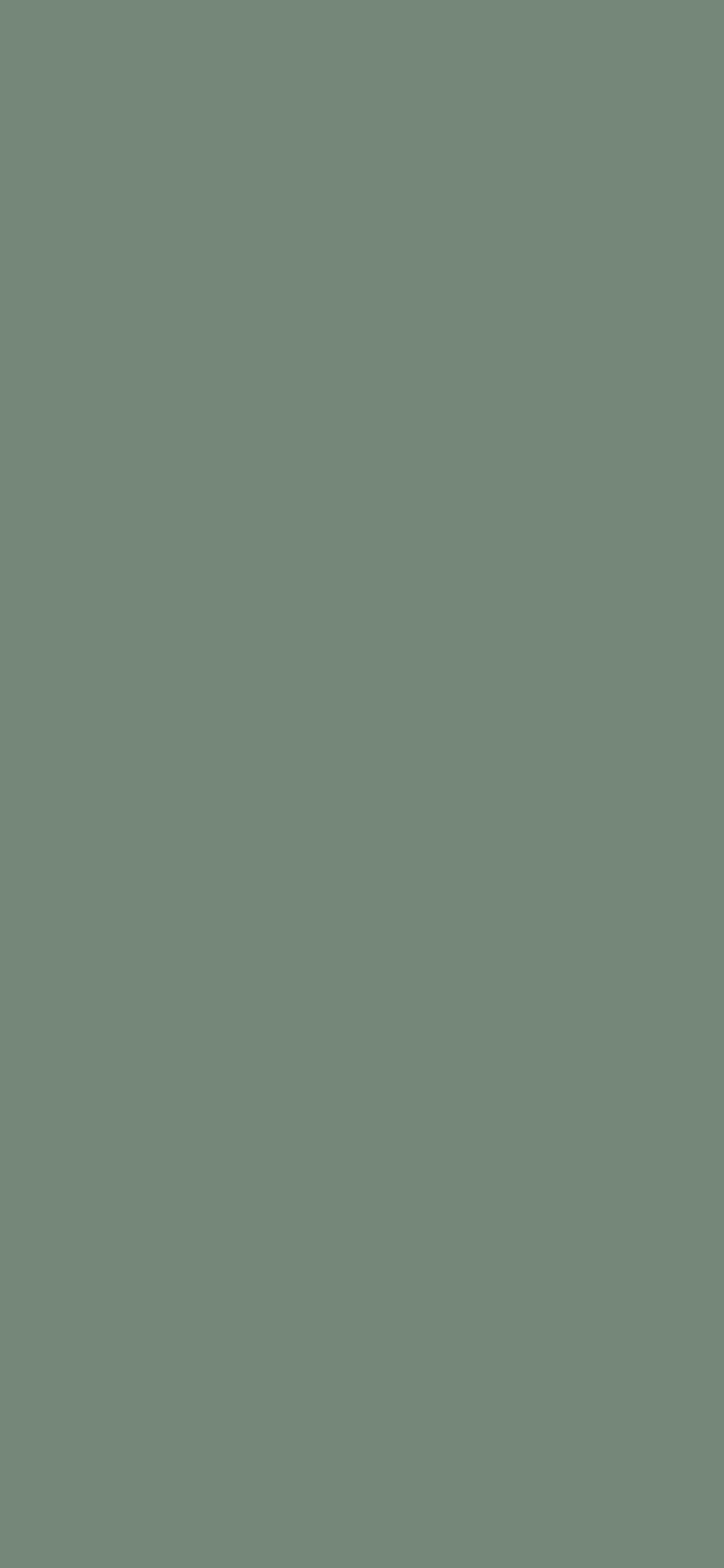 1125x2436 Xanadu Solid Color Background