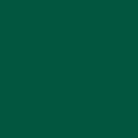 Castleton Green Solid Color Background