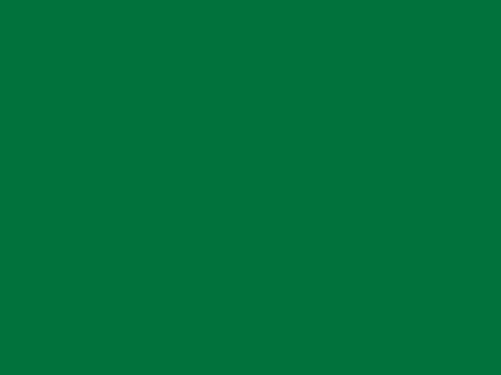 1600x1200 Dartmouth Green Solid Color Background