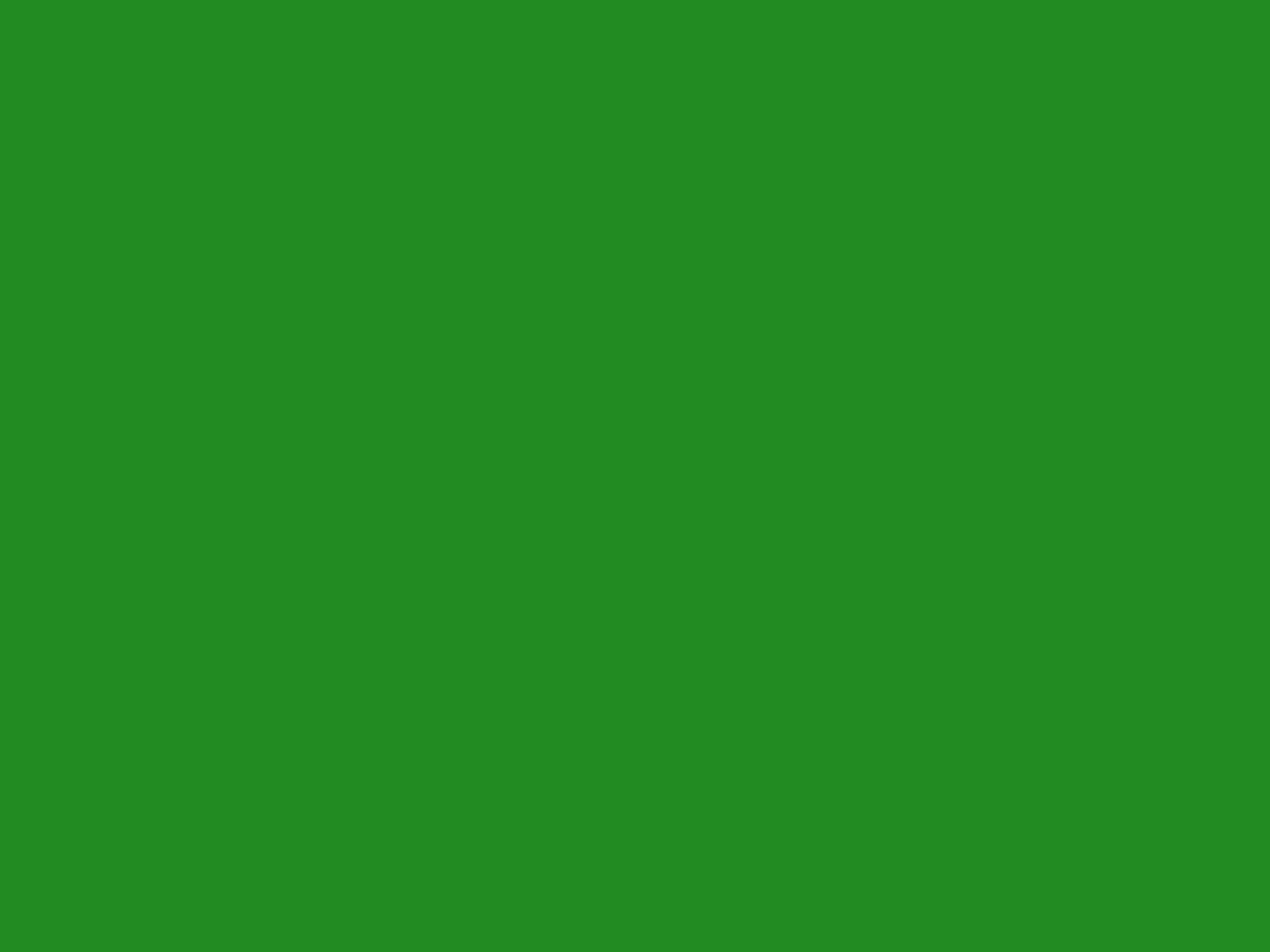1600x1200 Forest Green For Web Solid Color Background