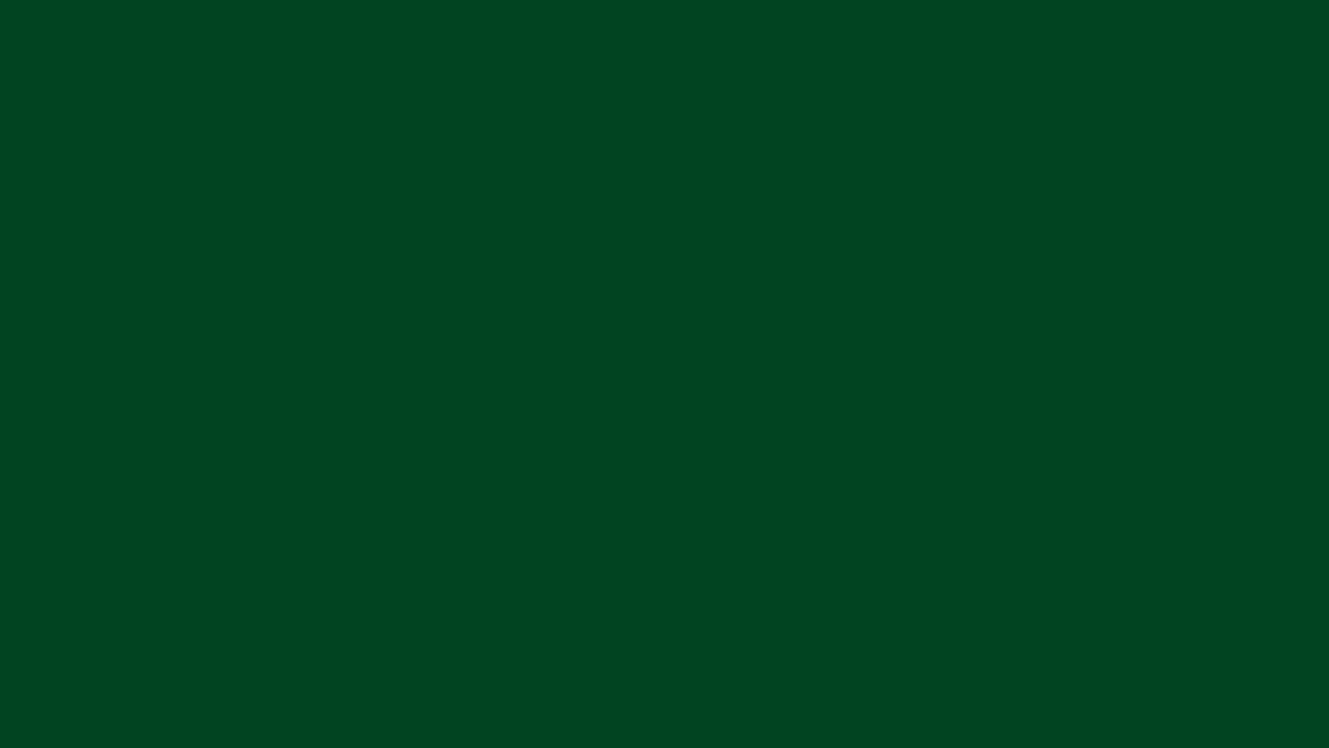1920x1080 Forest Green Traditional Solid Color Background
