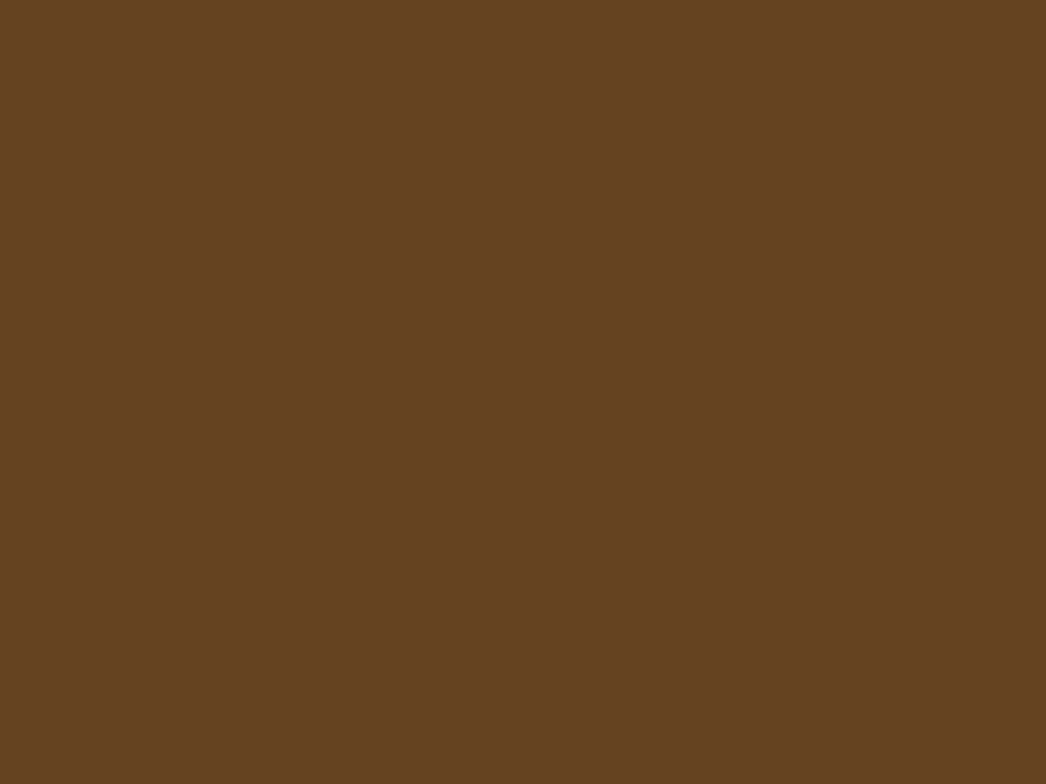 2048x1536 Otter Brown Solid Color Background