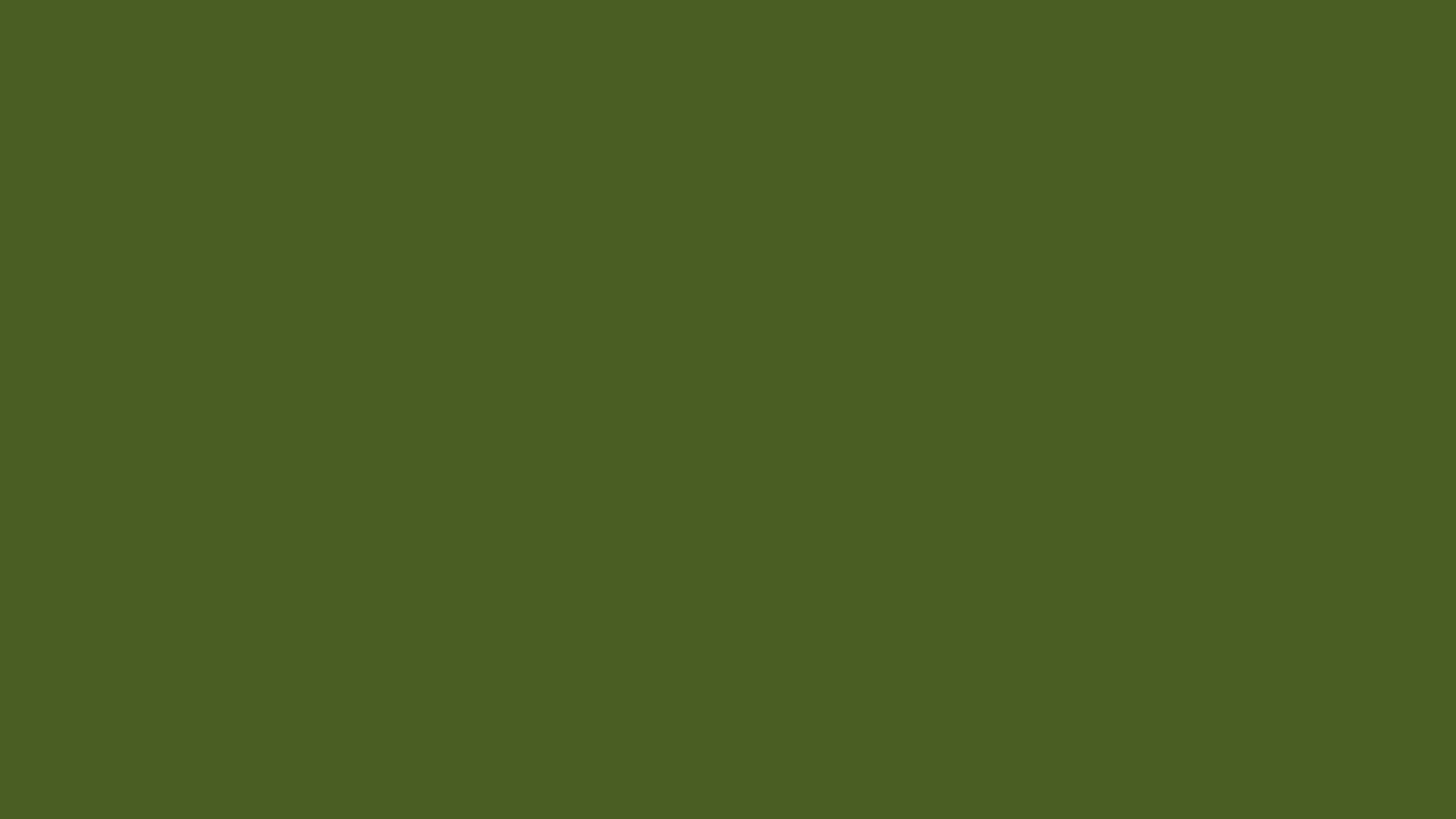3840x2160 Dark Moss Green Solid Color Background