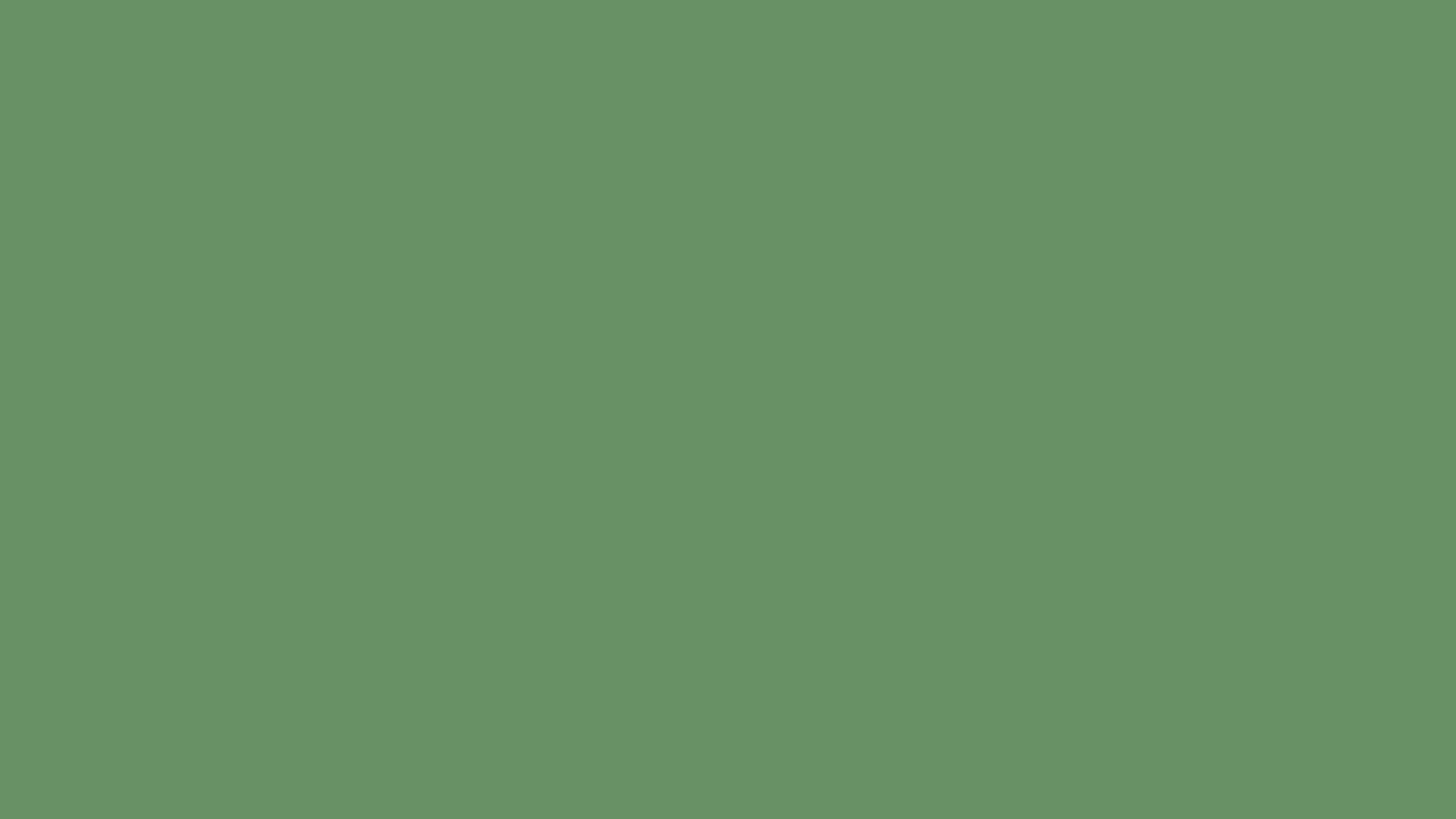 Russian Green Solid Color: Hãy khám phá những bức tranh với màu xanh lục đậm đà và sắc nét trên nền nền Russian Green Solid Color. Sự tươi tắn của màu xanh này sẽ mang lại cho bạn sự bình tĩnh và thư thái khi ngắm nhìn.