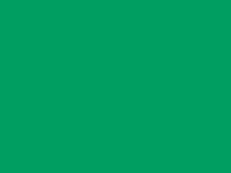 800x600 Shamrock Green Solid Color Background