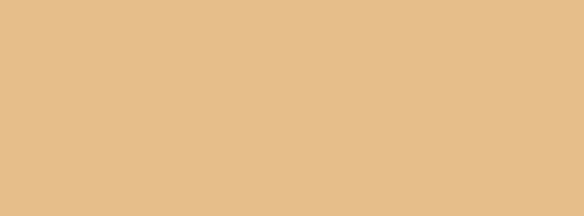 851x315 Pale Gold Solid Color Background