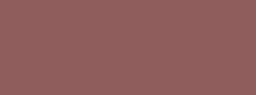 851x315 Rose Taupe Solid Color Background